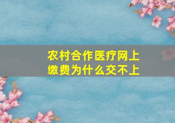 农村合作医疗网上缴费为什么交不上