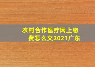 农村合作医疗网上缴费怎么交2021广东