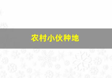 农村小伙种地