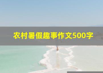 农村暑假趣事作文500字