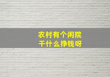 农村有个闲院 干什么挣钱呀