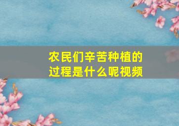 农民们辛苦种植的过程是什么呢视频