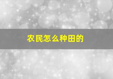 农民怎么种田的