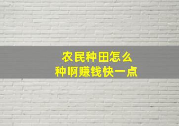 农民种田怎么种啊赚钱快一点