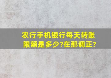 农行手机银行每天转账限额是多少?在那调正?