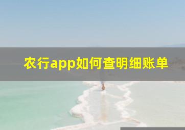 农行app如何查明细账单