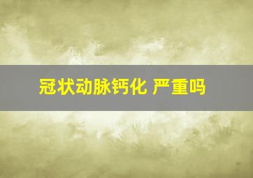 冠状动脉钙化 严重吗