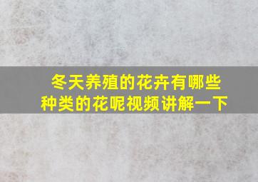 冬天养殖的花卉有哪些种类的花呢视频讲解一下