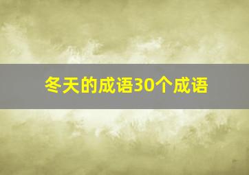 冬天的成语30个成语