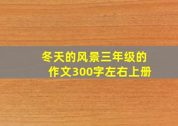 冬天的风景三年级的作文300字左右上册