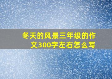 冬天的风景三年级的作文300字左右怎么写