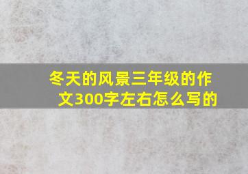 冬天的风景三年级的作文300字左右怎么写的