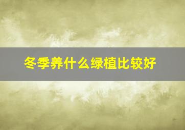 冬季养什么绿植比较好