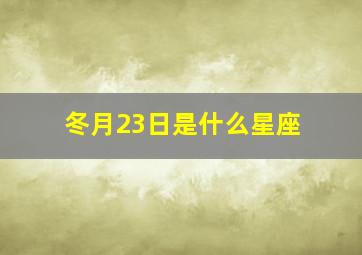 冬月23日是什么星座