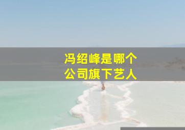 冯绍峰是哪个公司旗下艺人