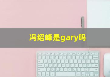 冯绍峰是gary吗