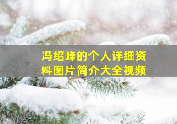 冯绍峰的个人详细资料图片简介大全视频