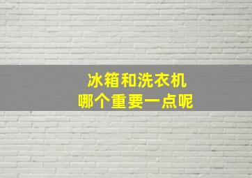 冰箱和洗衣机哪个重要一点呢