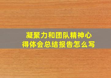 凝聚力和团队精神心得体会总结报告怎么写