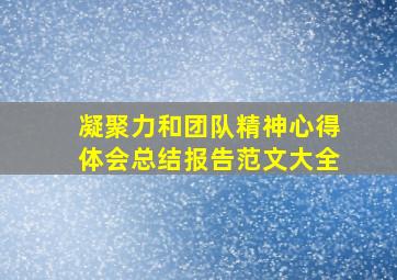 凝聚力和团队精神心得体会总结报告范文大全