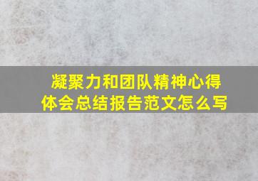 凝聚力和团队精神心得体会总结报告范文怎么写