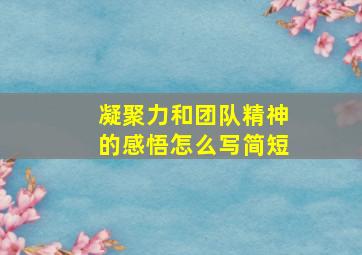 凝聚力和团队精神的感悟怎么写简短