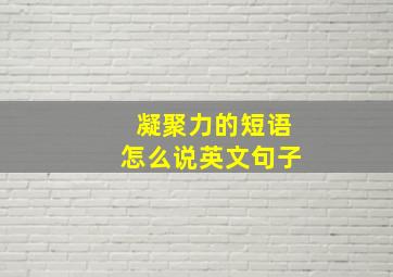 凝聚力的短语怎么说英文句子