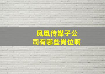 凤凰传媒子公司有哪些岗位啊