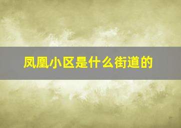 凤凰小区是什么街道的