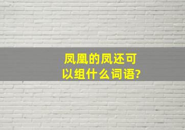 凤凰的凤还可以组什么词语?