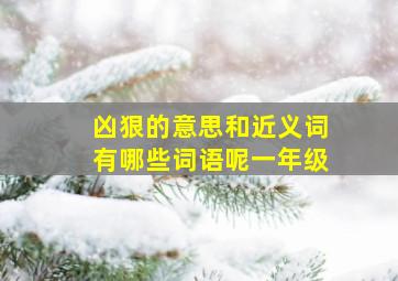 凶狠的意思和近义词有哪些词语呢一年级