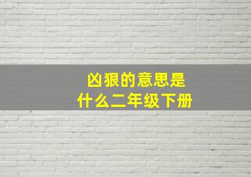 凶狠的意思是什么二年级下册