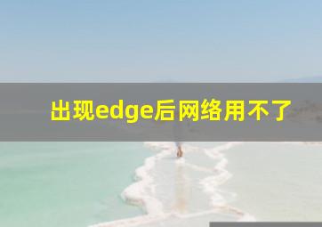 出现edge后网络用不了