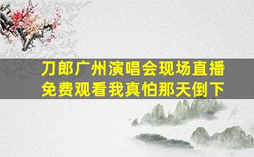 刀郎广州演唱会现场直播免费观看我真怕那天倒下