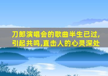 刀郎演唱会的歌曲半生已过,引起共鸣,直击人的心灵深处