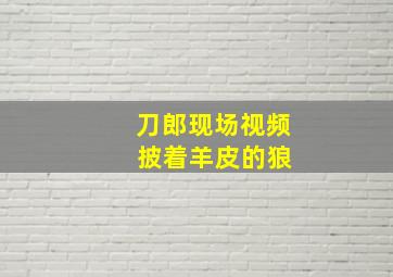 刀郎现场视频 披着羊皮的狼