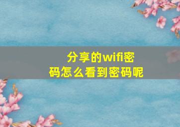 分享的wifi密码怎么看到密码呢