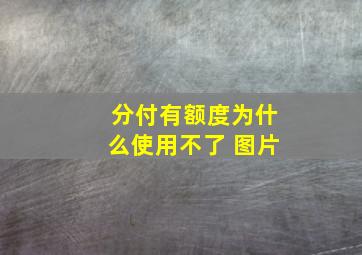 分付有额度为什么使用不了 图片