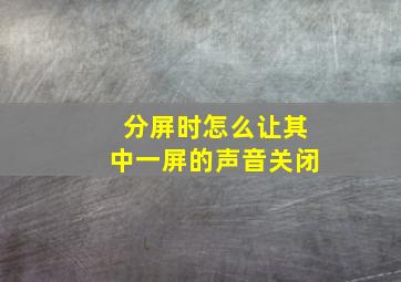 分屏时怎么让其中一屏的声音关闭