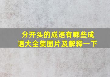 分开头的成语有哪些成语大全集图片及解释一下