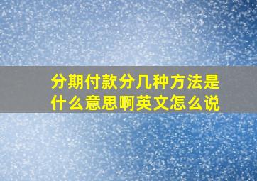 分期付款分几种方法是什么意思啊英文怎么说