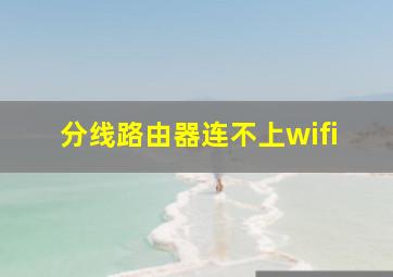 分线路由器连不上wifi