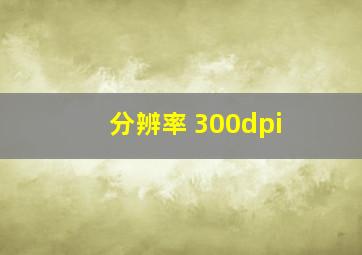 分辨率 300dpi