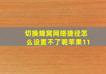 切换蜂窝网络捷径怎么设置不了呢苹果11