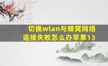 切换wlan与蜂窝网络连接失败怎么办苹果13