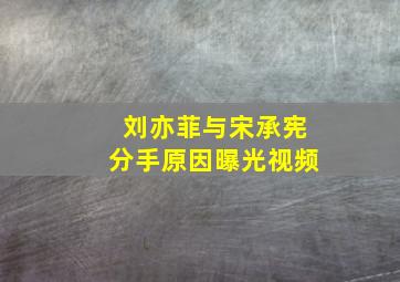 刘亦菲与宋承宪分手原因曝光视频