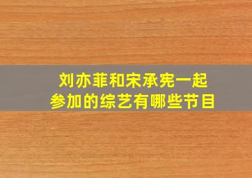 刘亦菲和宋承宪一起参加的综艺有哪些节目