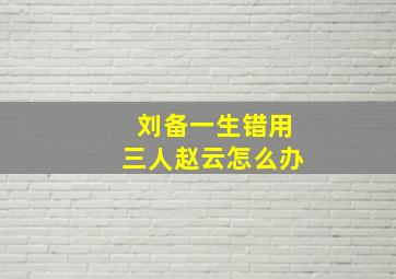 刘备一生错用三人赵云怎么办