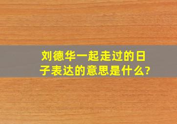 刘德华一起走过的日子表达的意思是什么?