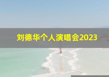 刘德华个人演唱会2023